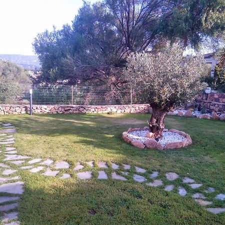 Villetta Cala D'Ambra San Teodoro  Ngoại thất bức ảnh